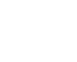 FI Logo